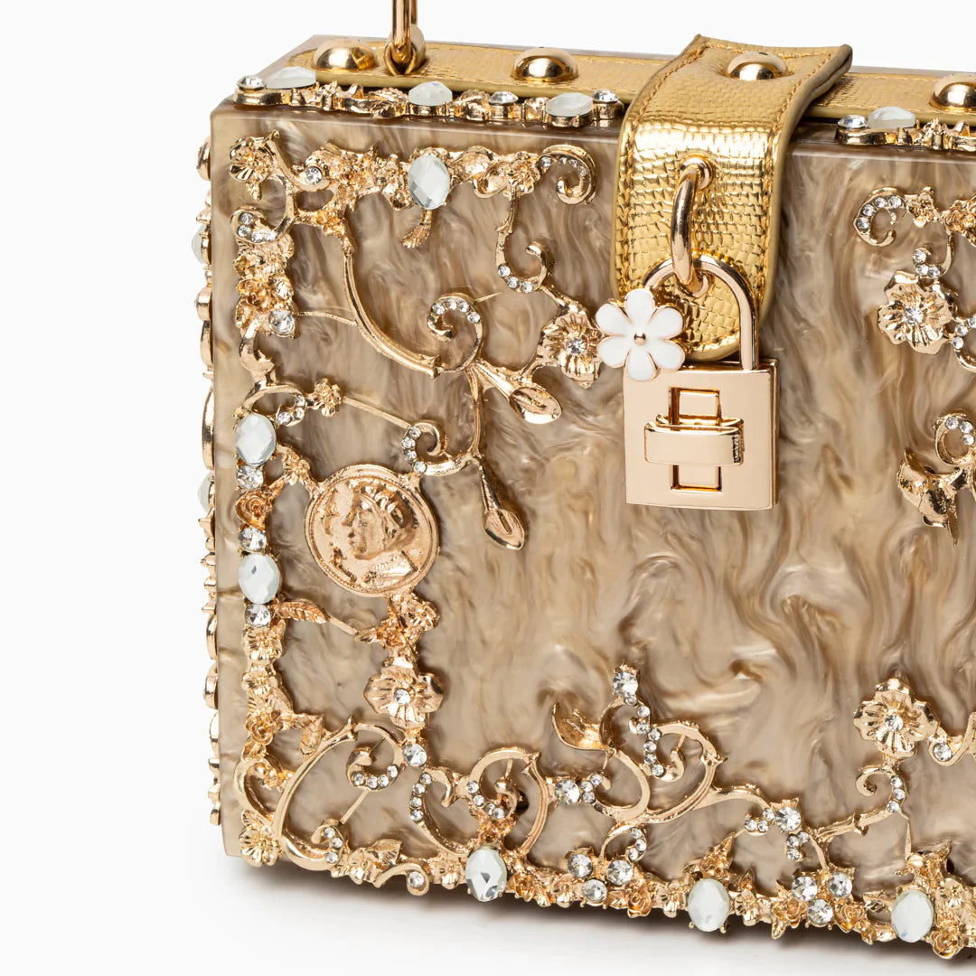 Vioraia Acrylic Box Handbag