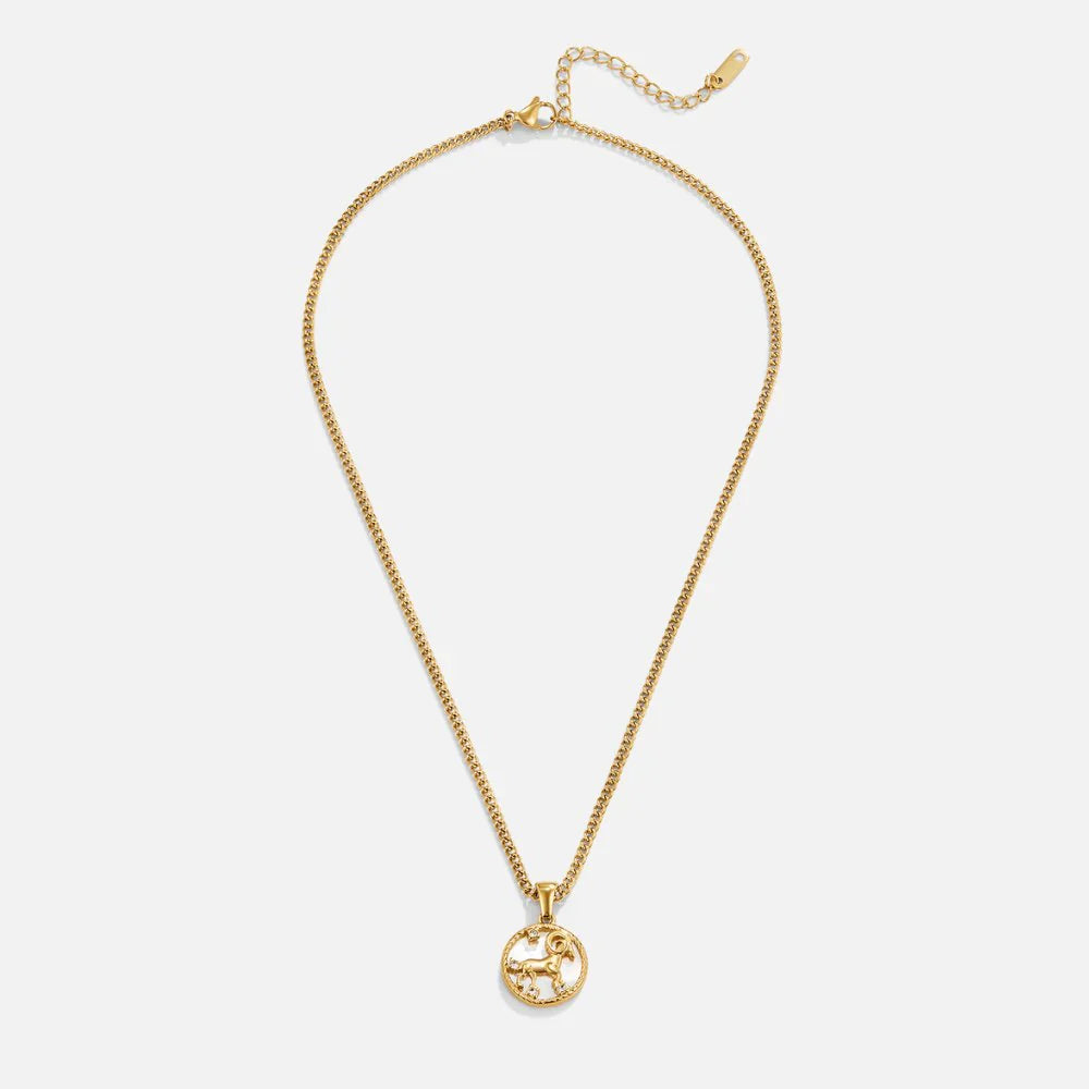 Vioraia White Shell Zodiac Coin Necklace