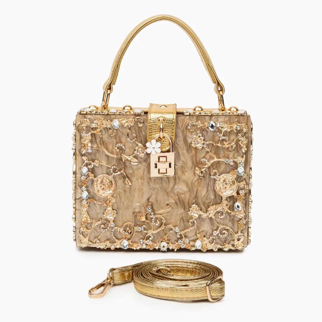 Vioraia Acrylic Box Handbag