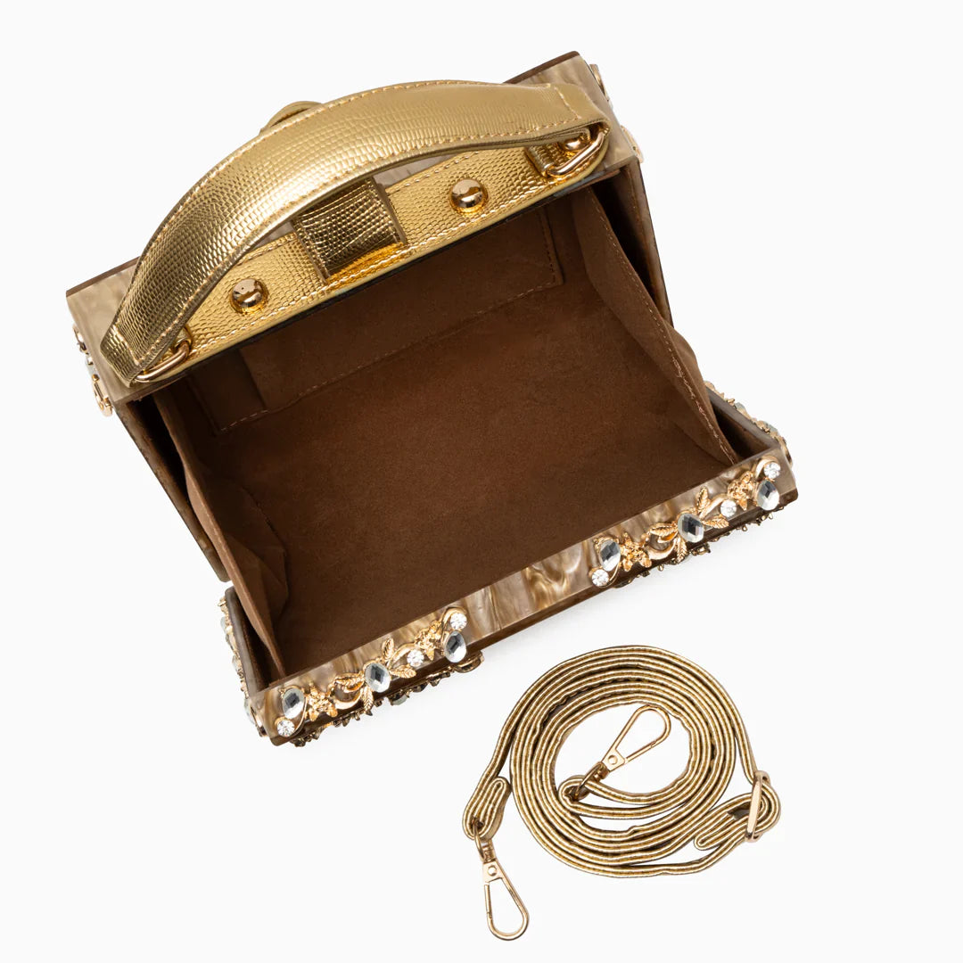Vioraia (CS) Acrylic Box Handbag