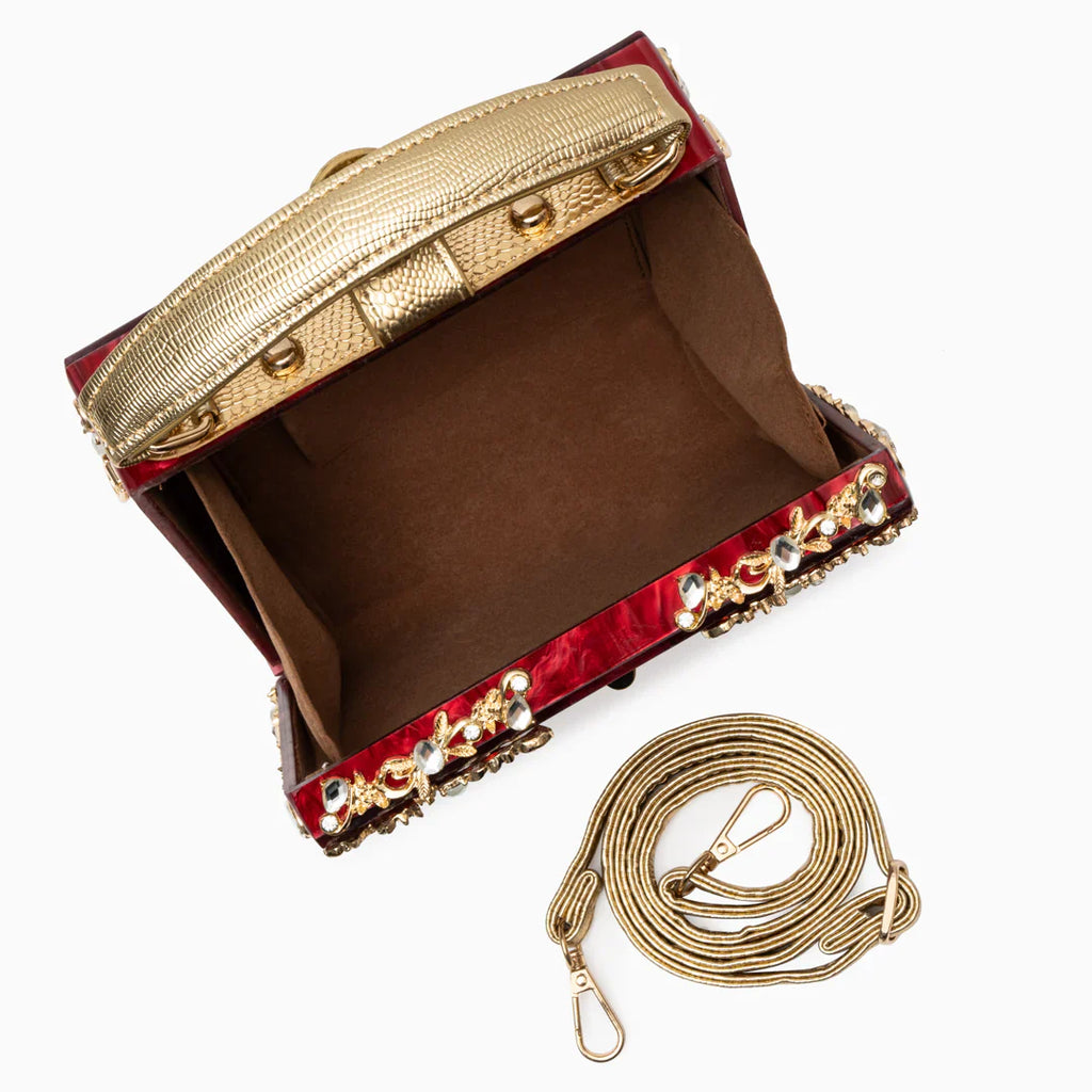 Vioraia (CS) Acrylic Box Handbag