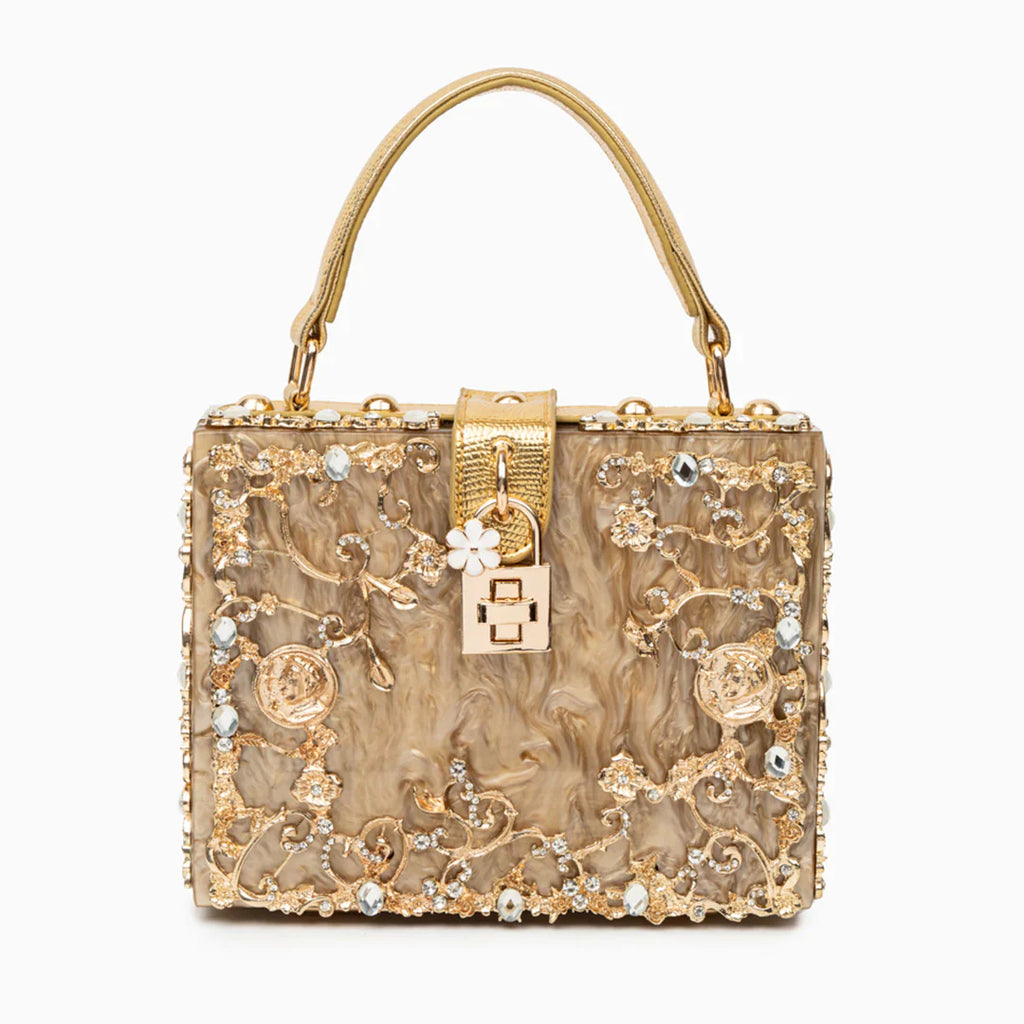 Vioraia (CS) Acrylic Box Handbag