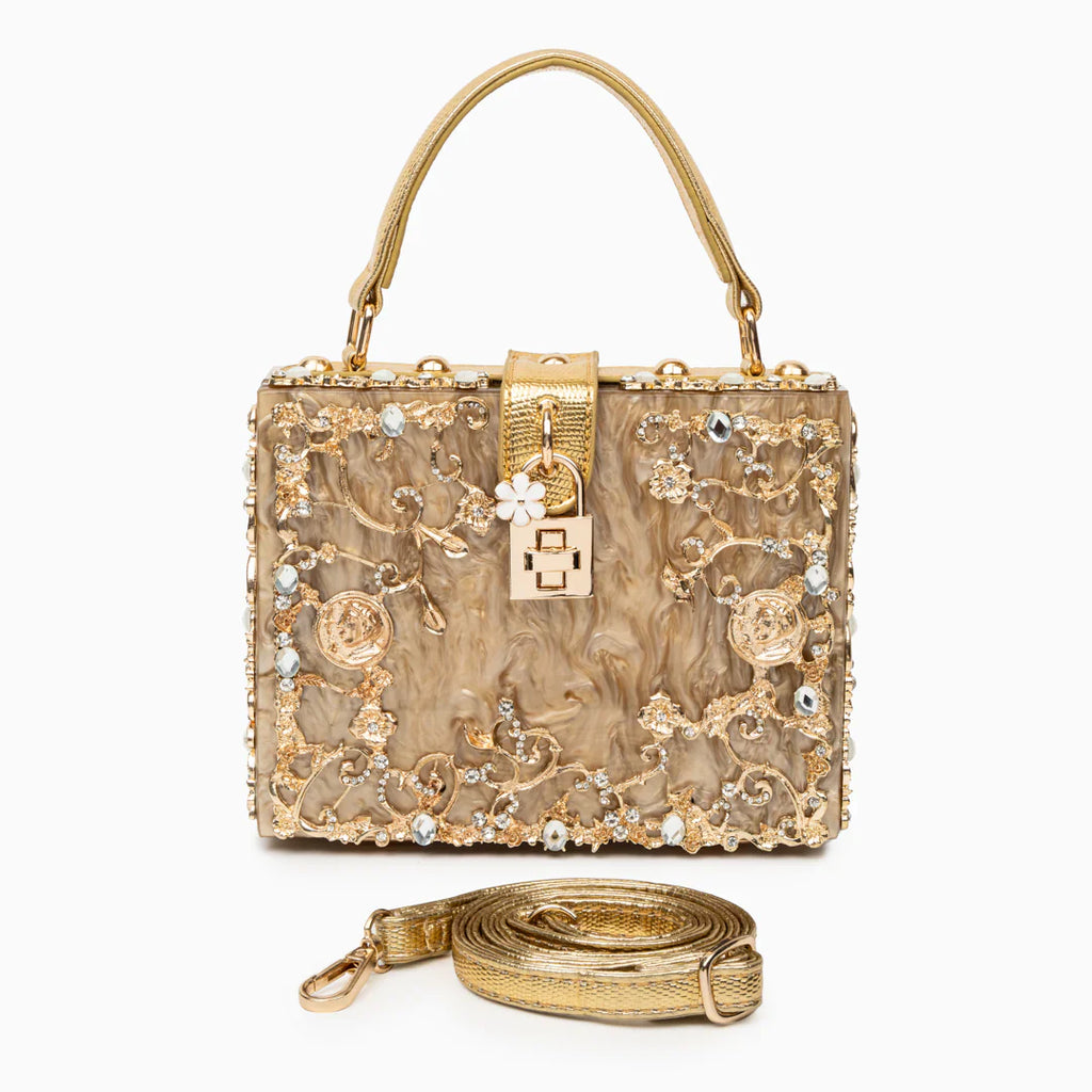 Vioraia (CS) Acrylic Box Handbag