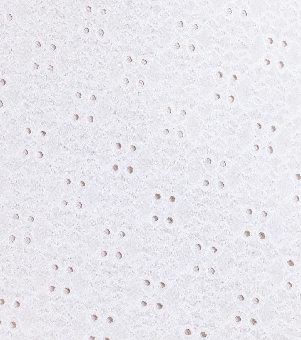Lovely In Eyelet A-Line Mini Dress